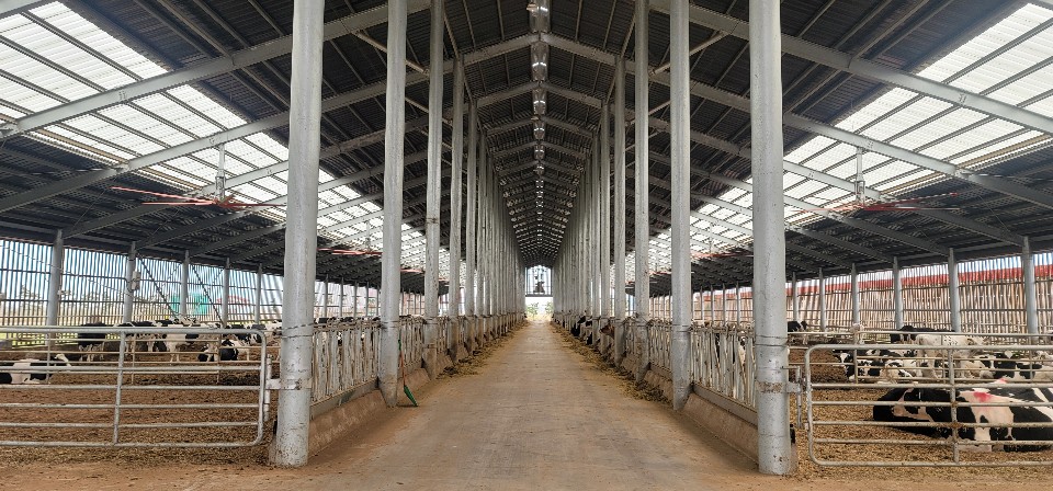 슬라이드 이미지